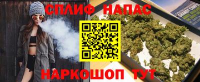МДПВ Новоалександровск