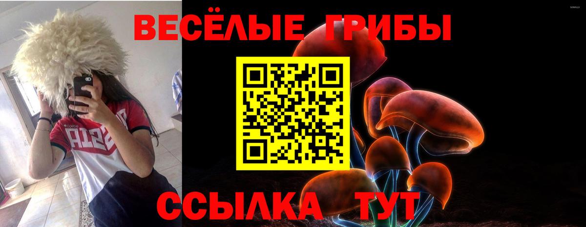 Галлюциногенные грибы Cubensis  Псилоцибиновые грибы прущие грибы  Богородск  продажа наркотиков  Вход с VPN 